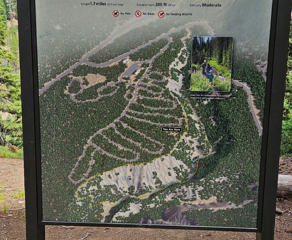 Annie Creek Canyon-火山湖国家公园必去景点