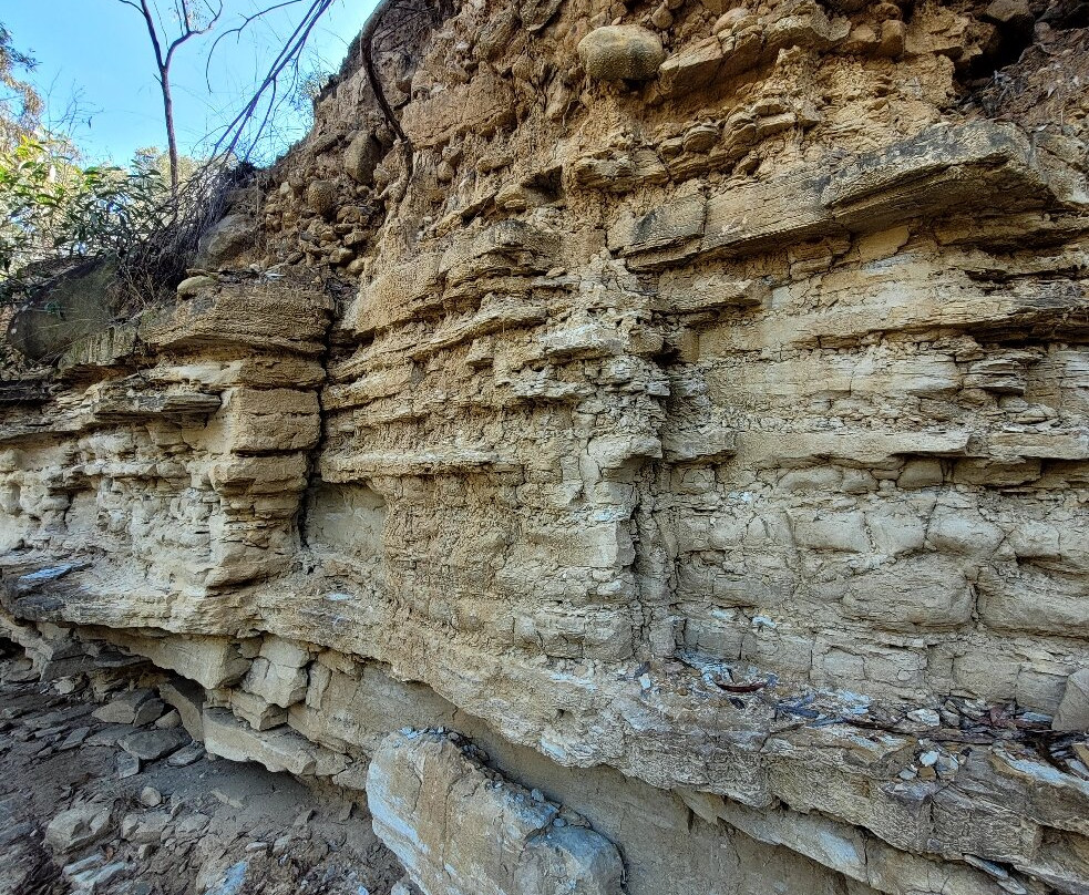 Central Queensland Nature Tours-罗尔斯顿必去景点