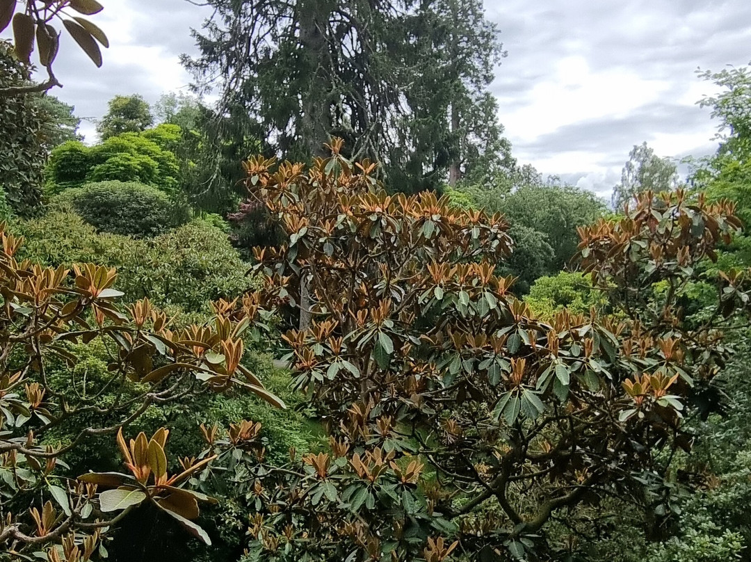 Glenarn Gardens-Rhu必去景点