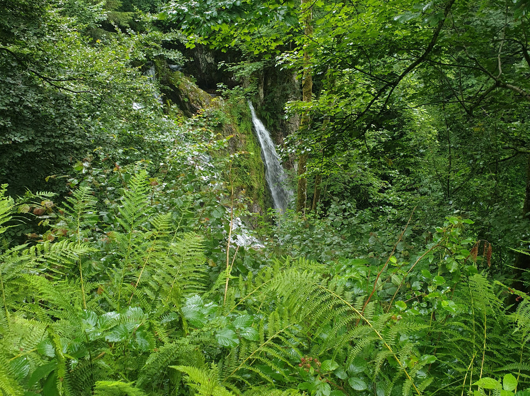 Cascade du Heidenbad-Wildenstein必去景点