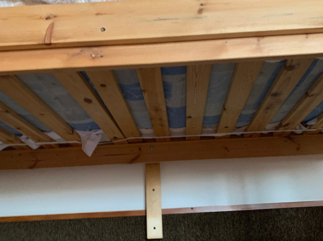 Hotel Holidays主图