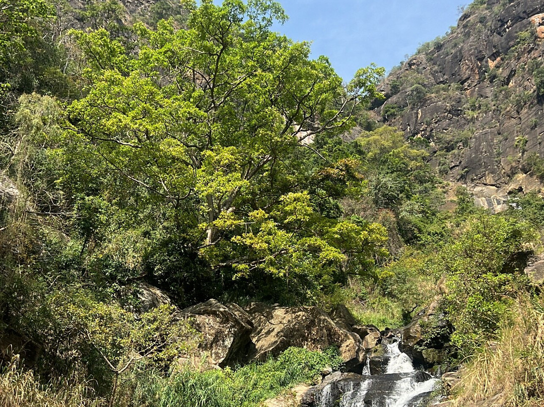 Revival Ceylon Tours-Kuliyapitiya必去景点