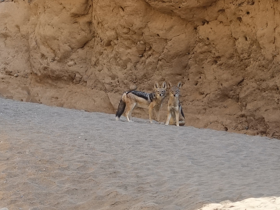 Namib-Naukluft National Park-赛斯瑞必去景点