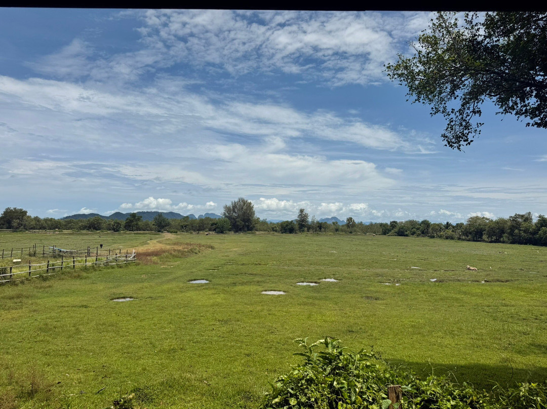 Mina's Cooking Classes-瑶诺岛必去景点