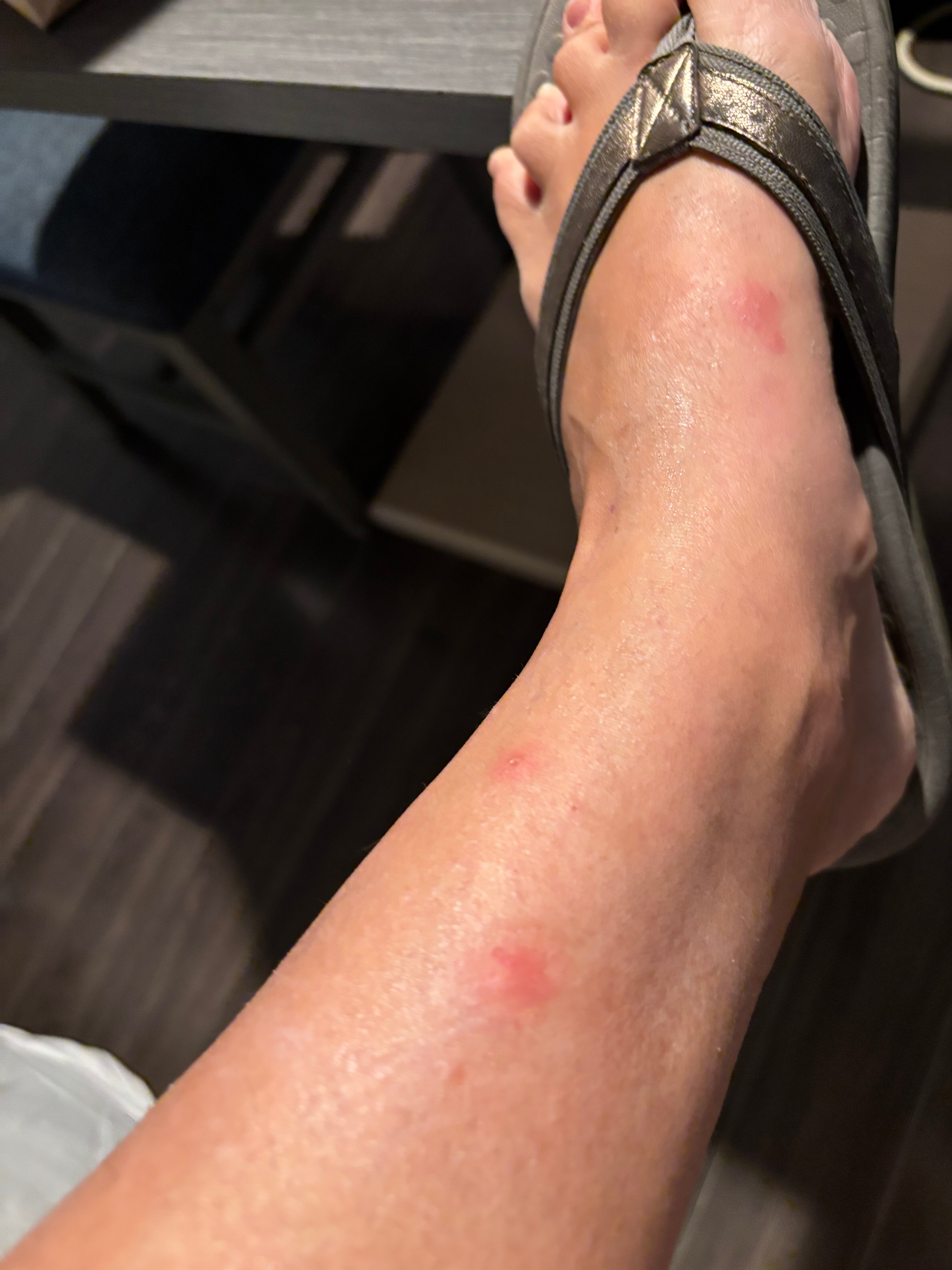 SureStay Hotel By Best Western San Rafael-官方