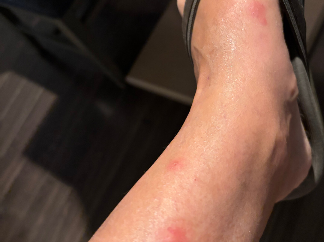 SureStay Hotel By Best Western San Rafael主图