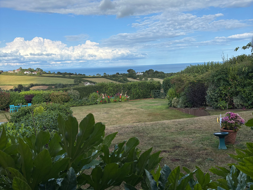 Halekulani Devon主图