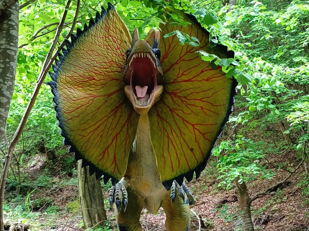 Pensiunea Bucura主图