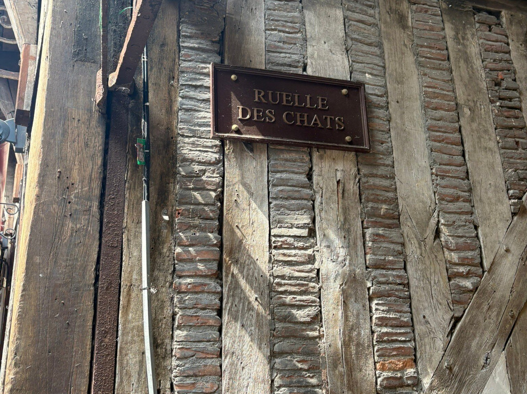 Ruelle des Chats-特鲁瓦必去景点