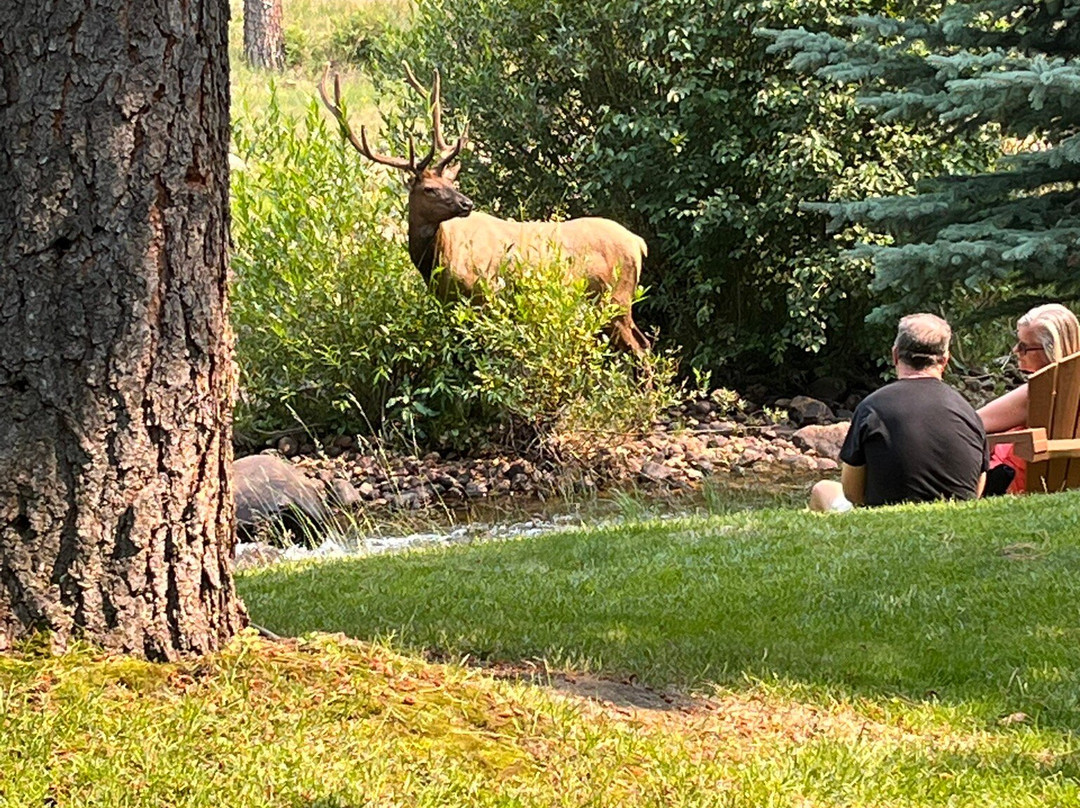 Boulder Brook on Fall River主图