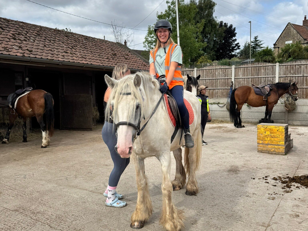 Derbyshire Pony Trekking-Mansfield必去景点