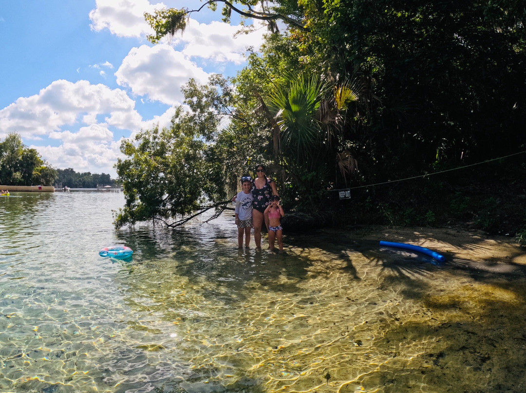 Salt Springs Recreation Area-Salt Springs必去景点