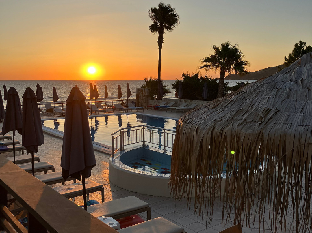 Paradise Apartments主图