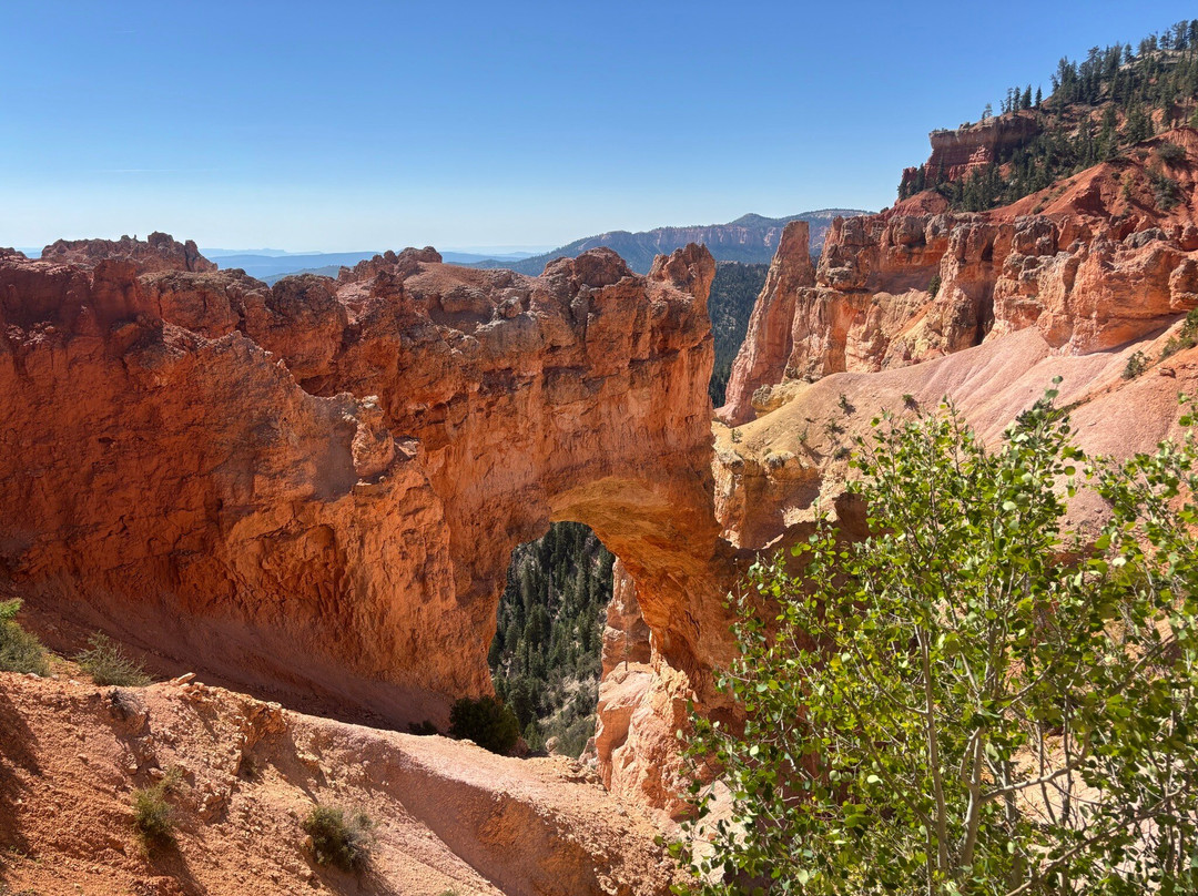 Natural Bridge-布莱斯必去景点