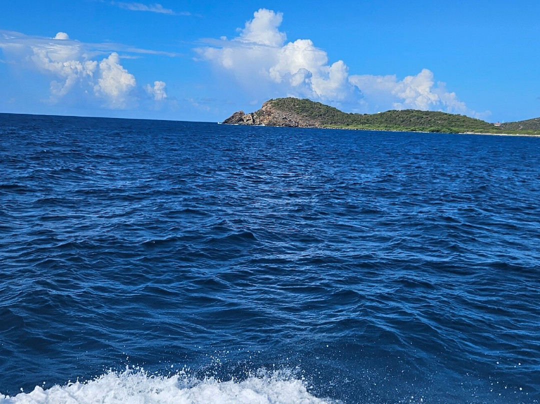 Inter Island Boat Service-克鲁兹湾必去景点