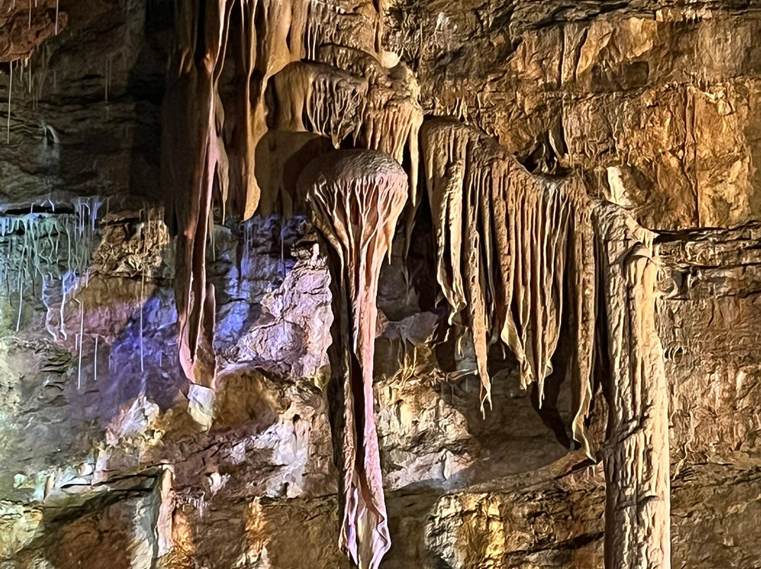 La Grotte de Trabuc-Mialet必去景点