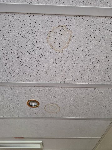 汉诺威H+酒店-客卧