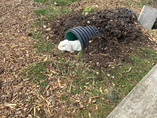 Nunny's Farm CIC-格里姆斯比必去景点