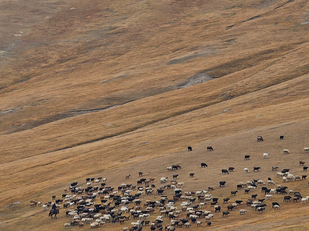 Kymyz travel-比斯凯克必去景点