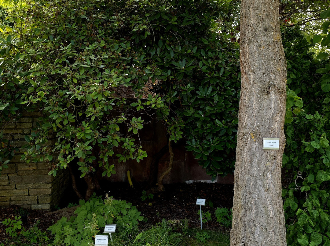 Botaniska Trädgården-韦斯特罗斯必去景点