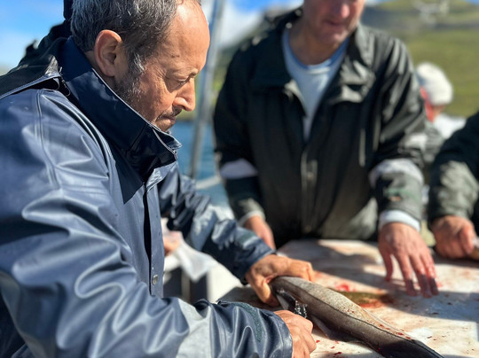 Fishing with Blastein-Vestmanna必去景点