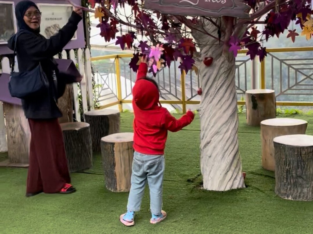 Cameron Lavender-碧兰璋必去景点