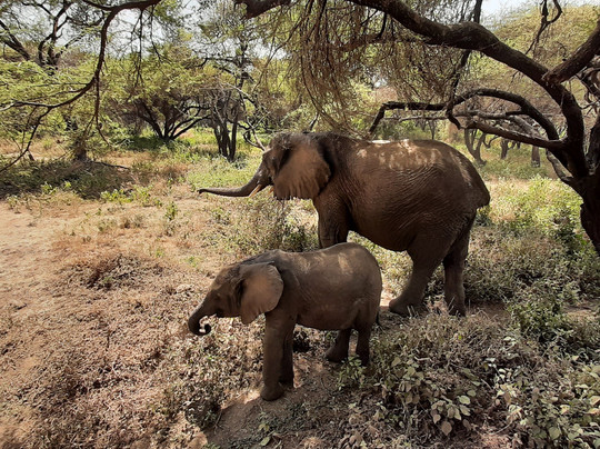Sky View Adventure Tours & Safaris-阿鲁沙必去景点