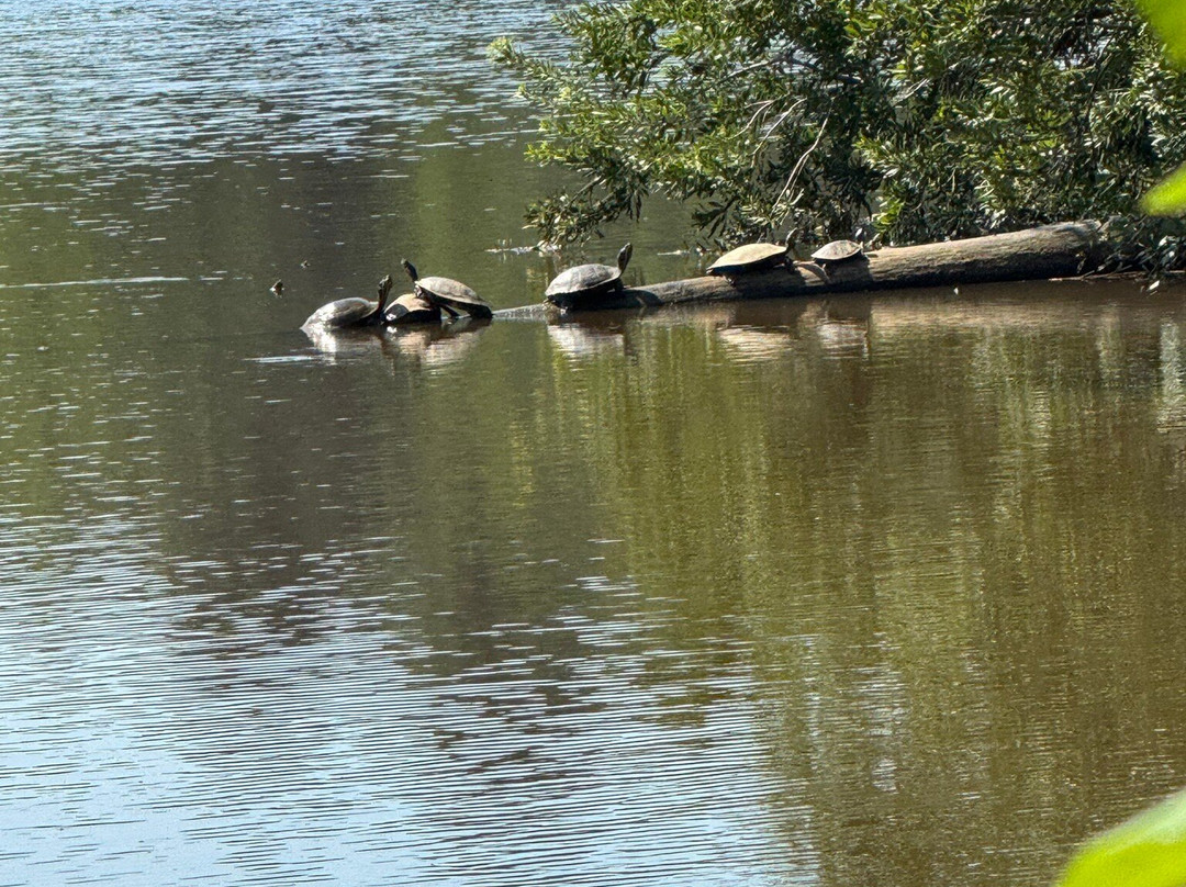 Colonel Francis Beatty Park-马修斯必去景点
