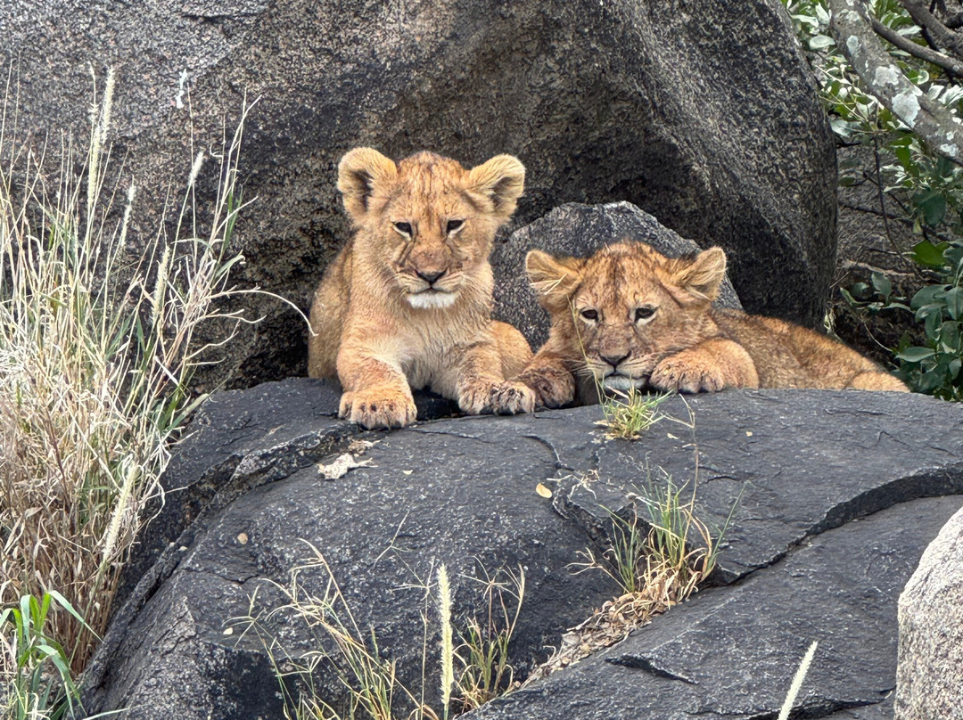Warrior Trails-阿鲁沙必去景点