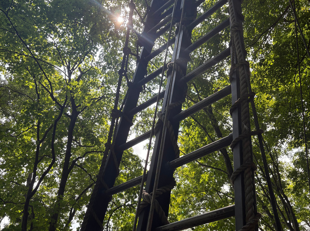 River Riders-哈泊斯费里必去景点