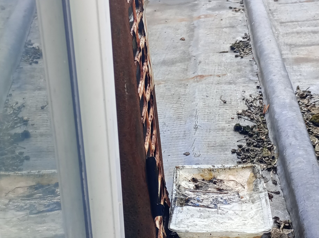 The Silk House Hotel主图