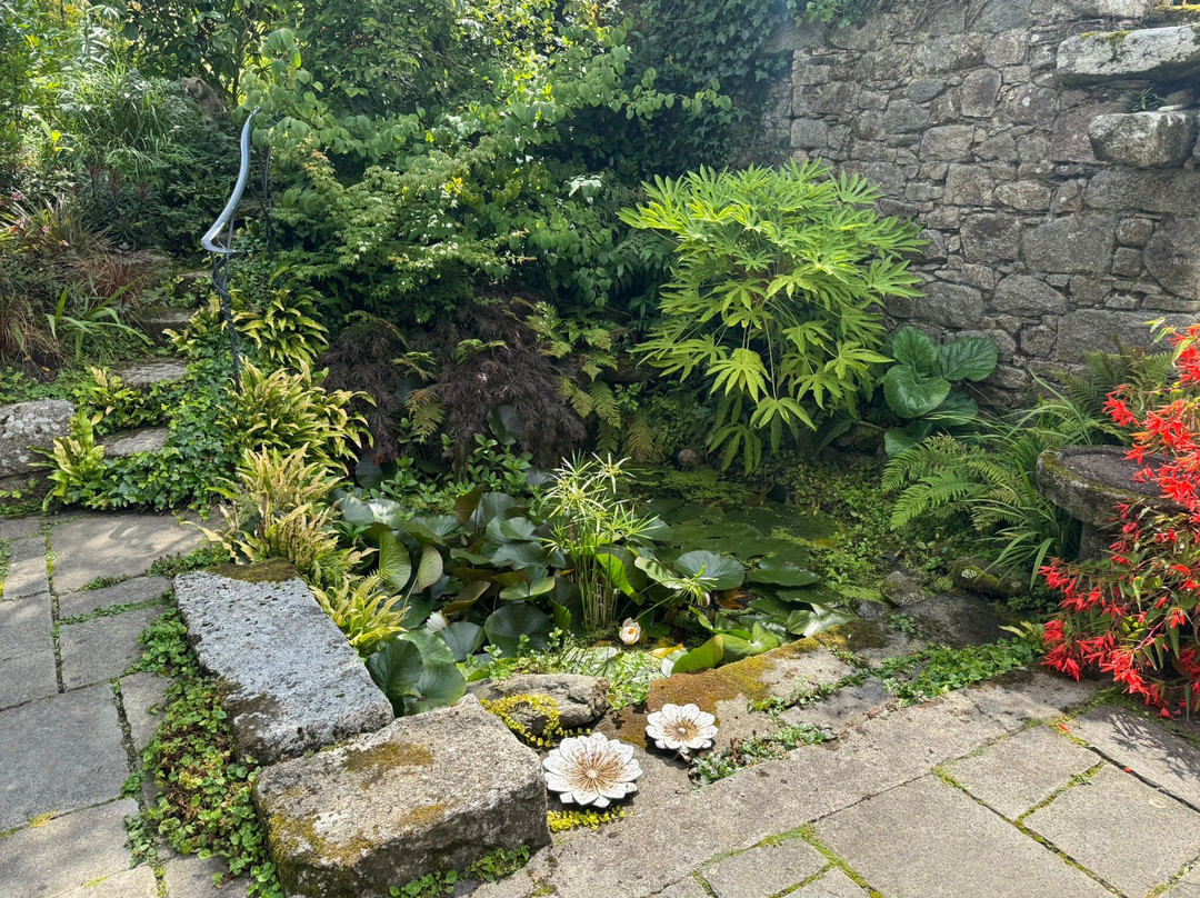 Patthana's Garden-Kiltegan必去景点