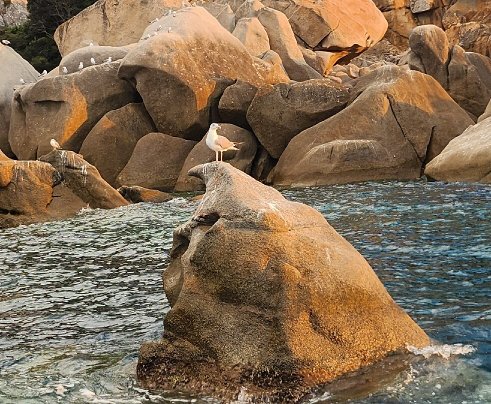 Cmpv Propriano-Propriano必去景点