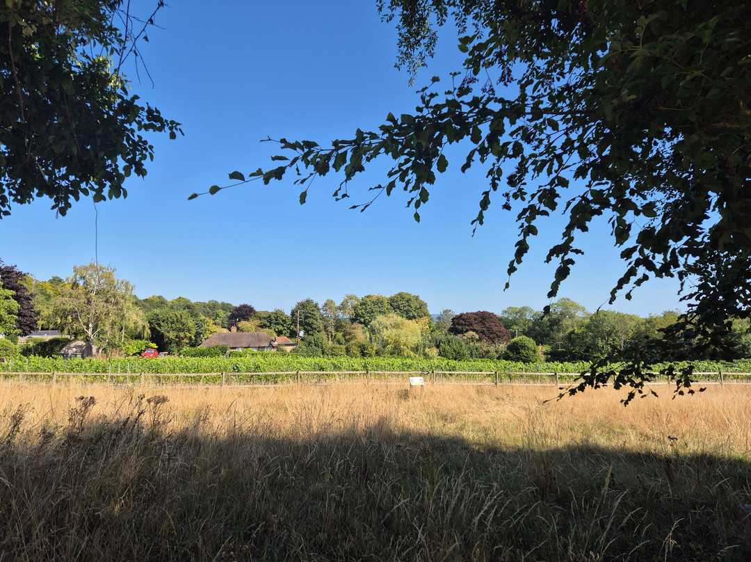 Greyfriars Vineyard-Puttenham必去景点