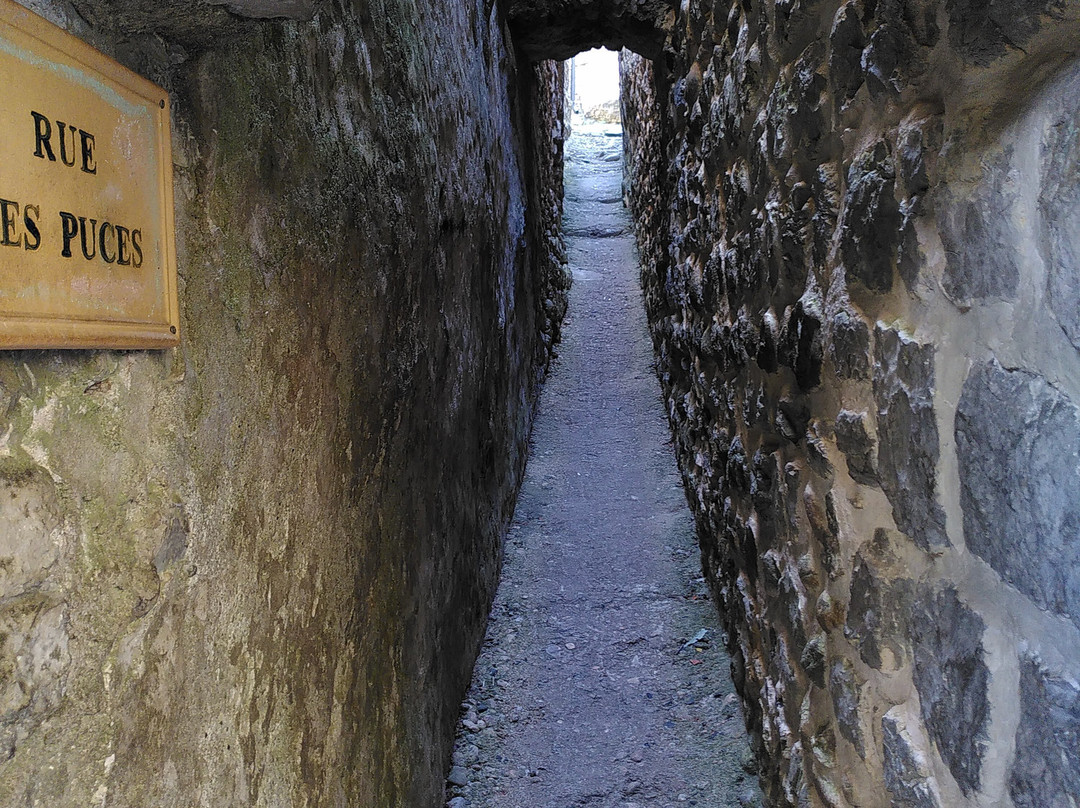 Château de Vogüé-Vogue必去景点