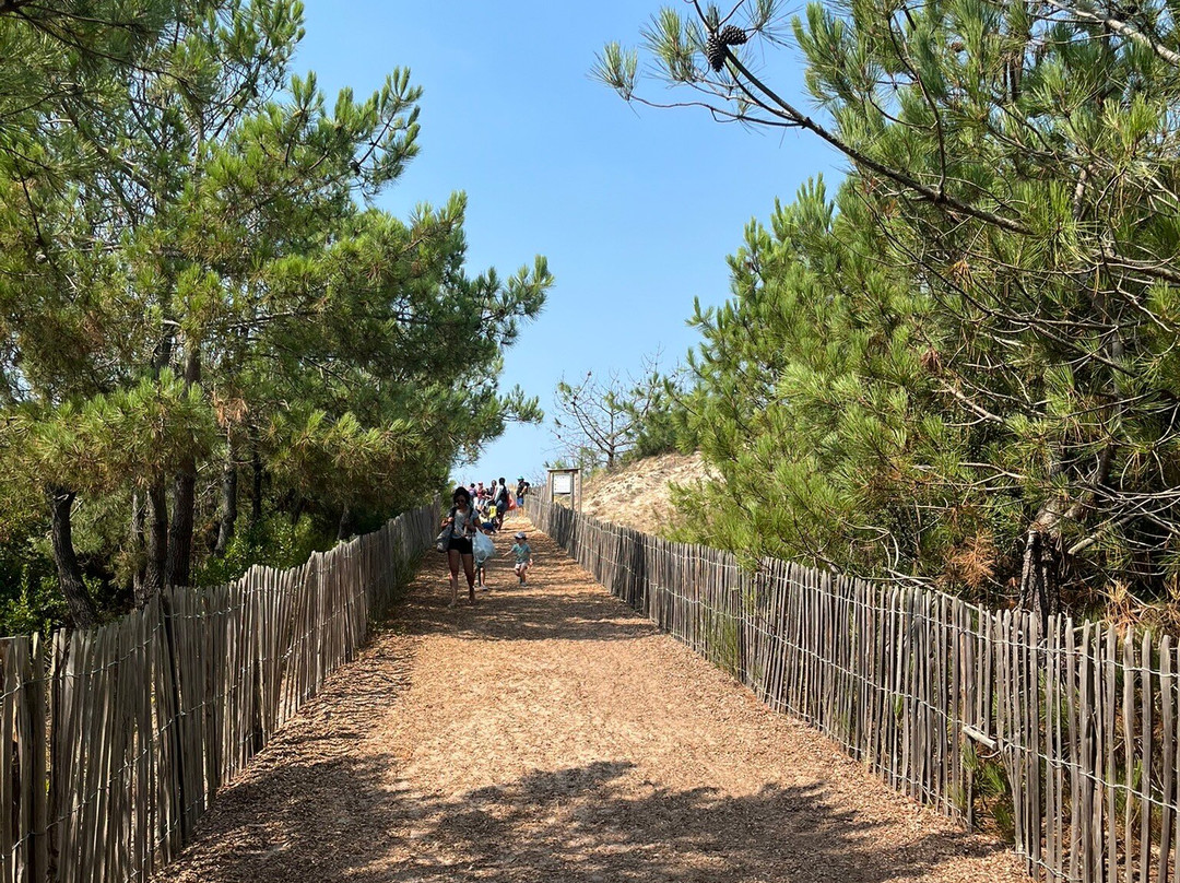 Les Plages de Lacanau-Lacanau-Ocean必去景点