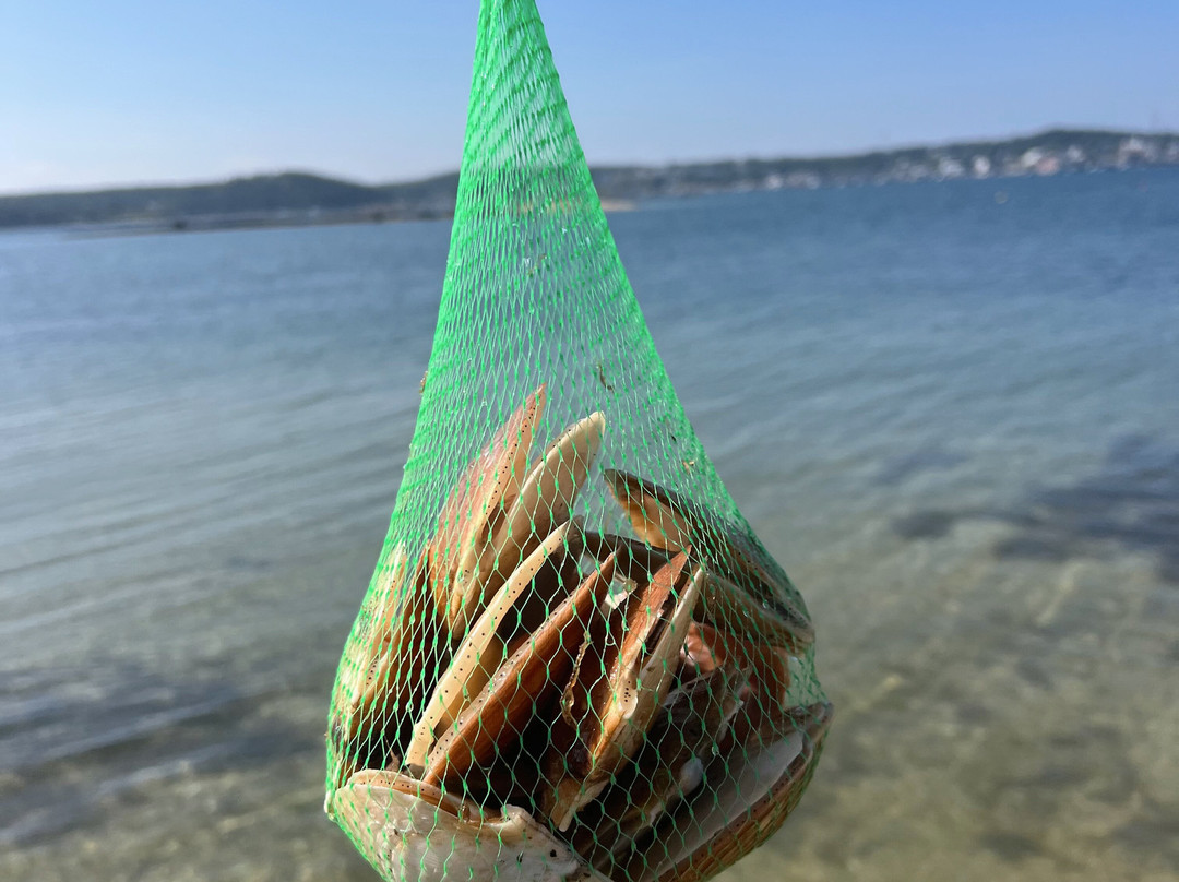 Osprey's Echo Sea Kayaking-Stonington必去景点