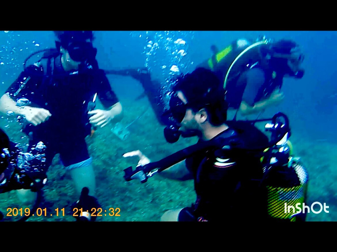 Mardays Dive & Water Experience-哈韦阿必去景点