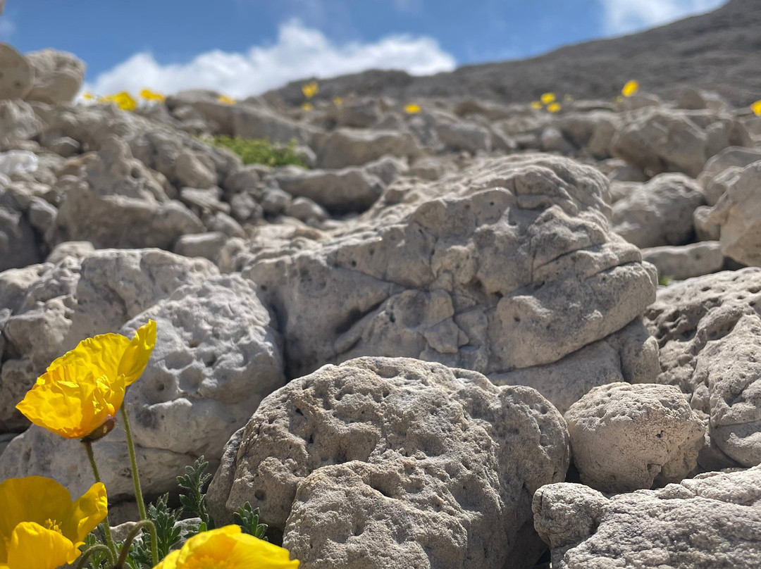Cima della Rosetta-圣马蒂诺－迪卡斯特罗扎必去景点