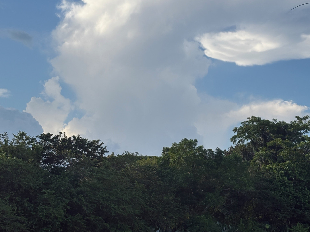 Pavones Surf Shop-帕沃尼斯必去景点