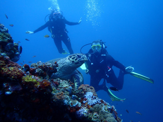 Intrinity Divers-长谷必去景点