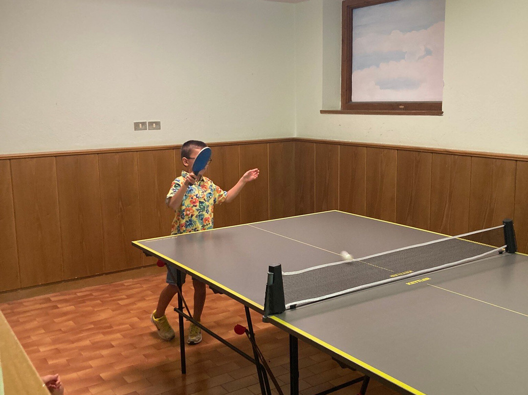 Hotel Ciasa Tama主图