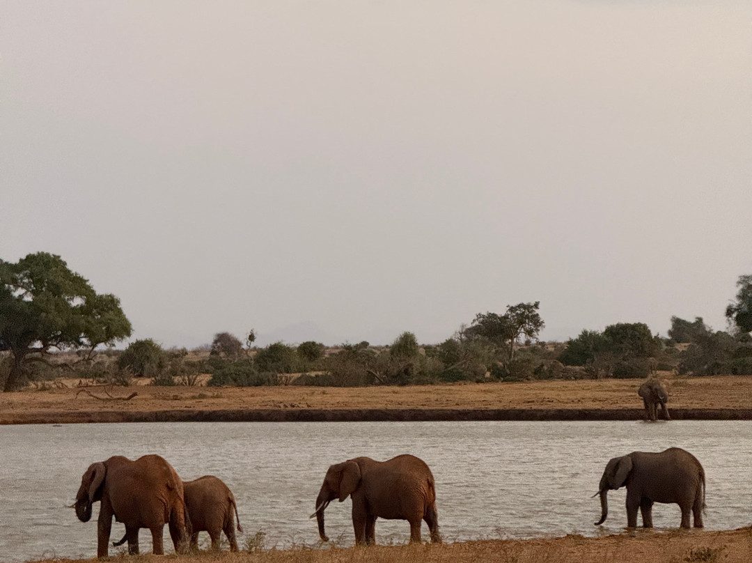 Nakupendakenya Safari & Tours services-蒙巴萨必去景点
