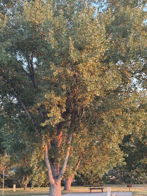 Fort Robinson State Park-Crawford必去景点