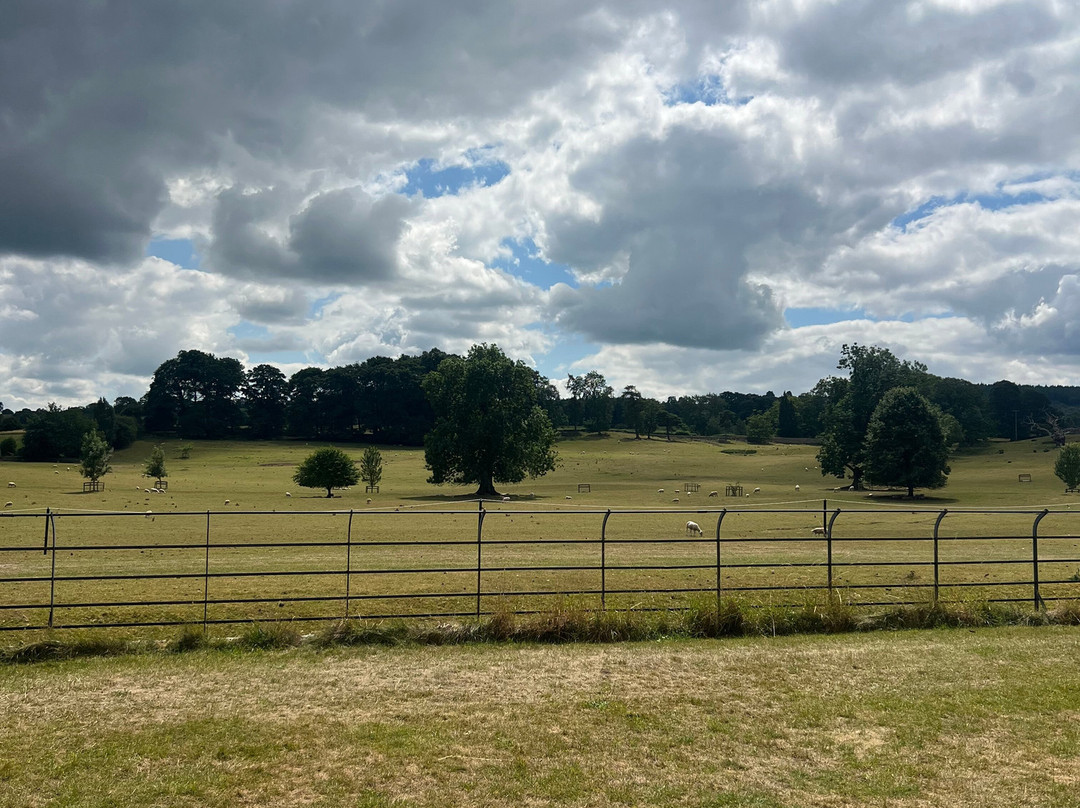 Jervaulx Abbey-Jervaulx必去景点
