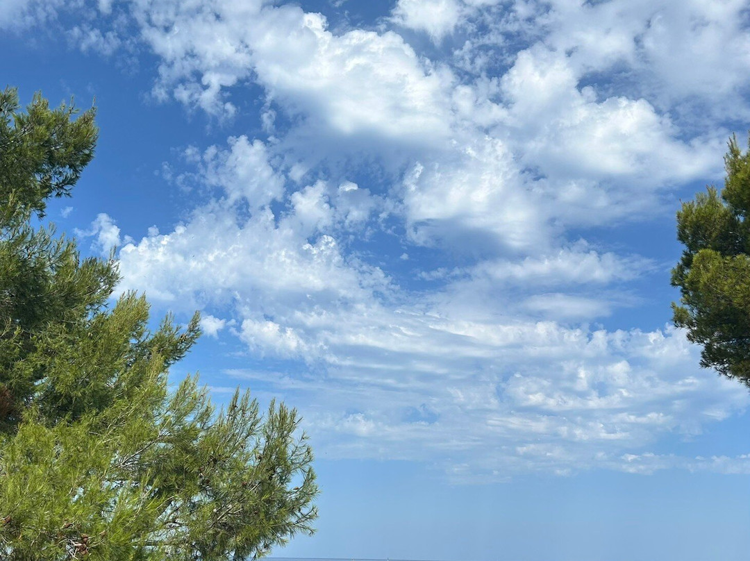 Punta Corrente-罗维尼必去景点