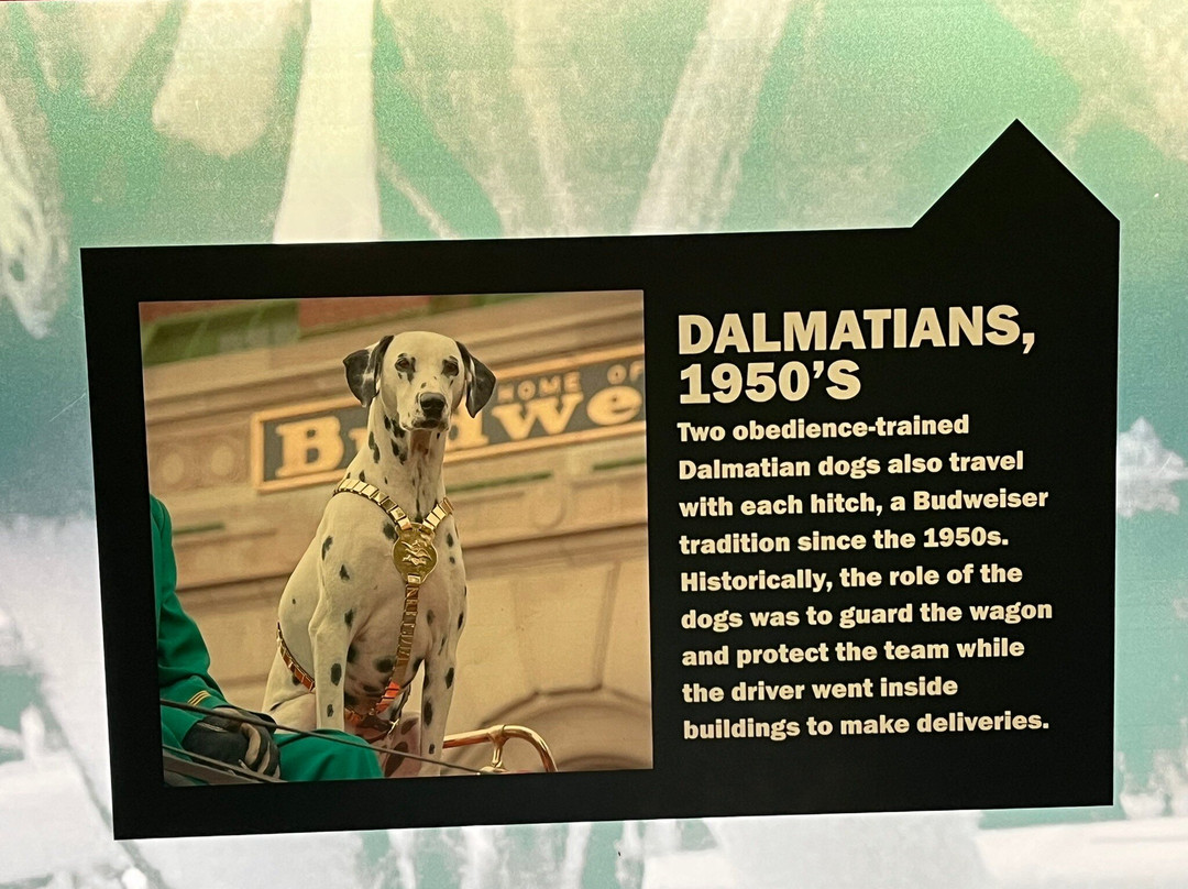 Anheuser-Busch Brewery-圣路易斯必去景点