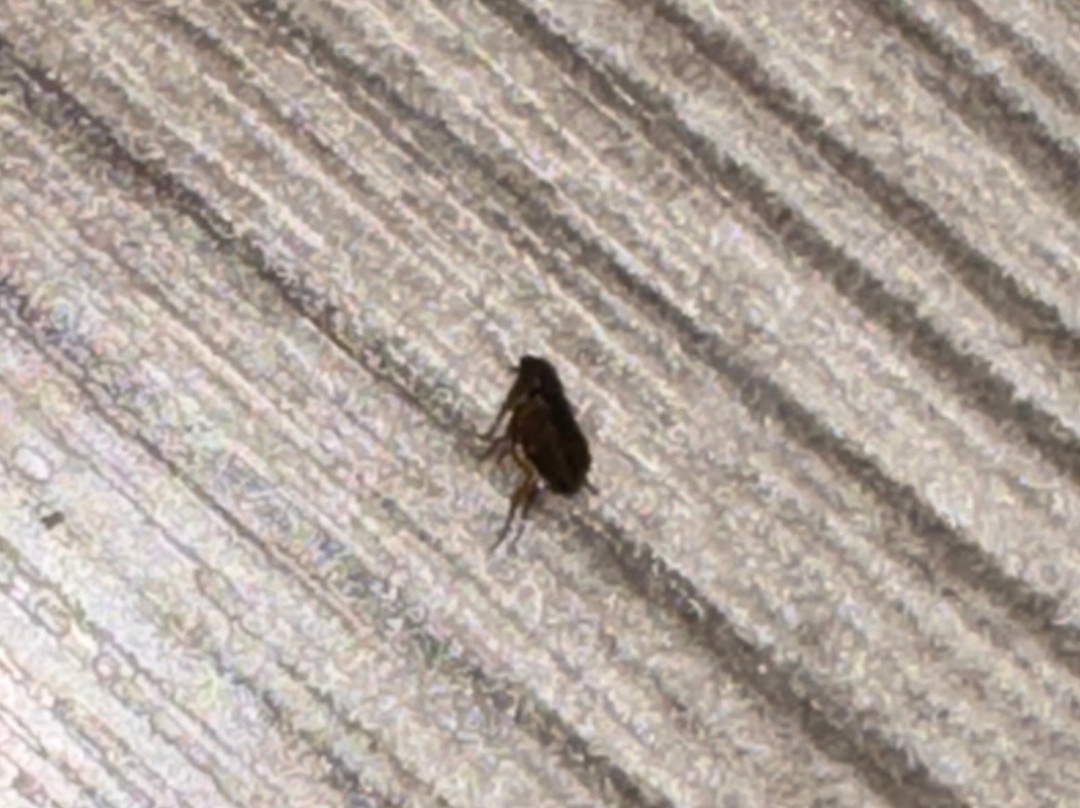 My Place Hotel - Minneapolis/Shakopee, MN主图