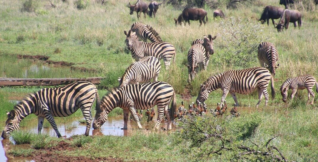 Stepclimb Adventures-莫西必去景点