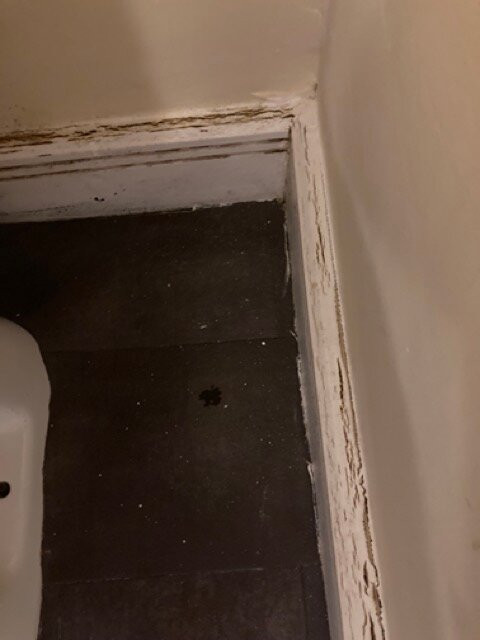 Celtic International Hotel Cardiff Airport主图